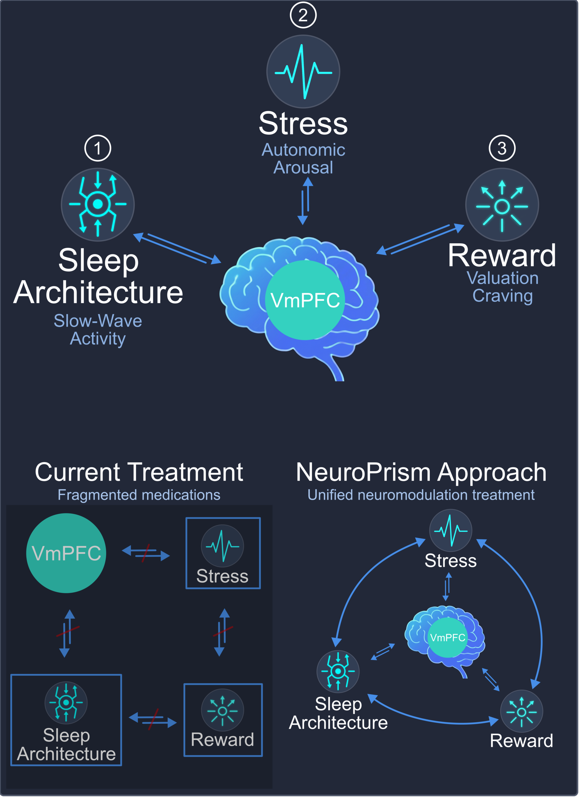 vmPFC neural hub diagram showing connections to decision-making, emotional regulation, and reward processing